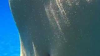 Stunning Girl Swims Nude on Public Beach