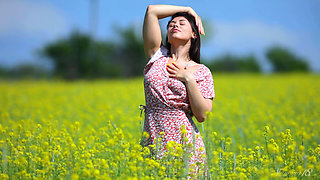On the Meadow in Summer