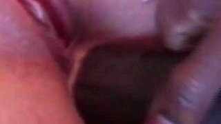 We All Take the Penis at My House