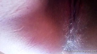 O Shorts - the Female Orgasm