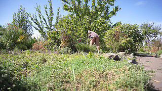 Watching Hot Neighbor Working in Garden