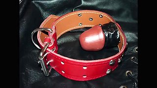 Slut Tied Up & Whipped Hard in Forest - Rough BDSM Fuck