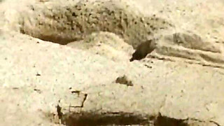 Crystal Wilder Fucked Hard on the Beach by Two Big Cocks