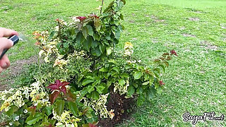 I Fuck the Gardener on My Farm While My Husband Is Away - Sayafit