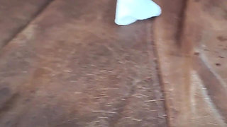 Sub Pedicure for Mistress