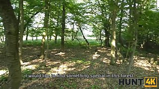 Forest strawberry bet led to a fire rail