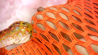 Babe in fishnet outfit rips pantyhose and puts a dildo in her shaved cunt