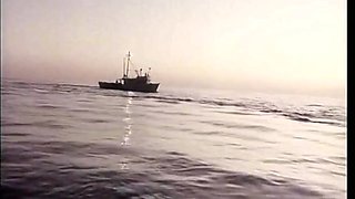 Fabulous Porn Clip Hd Check