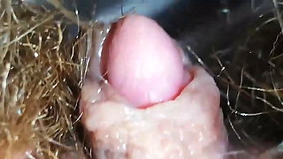 Huge throbbing clitoris