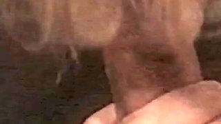 Orgy with the Mother-in-law in Heat and the Black Man