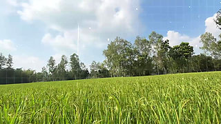 Bangla Choti golpo student and teacher best performance student