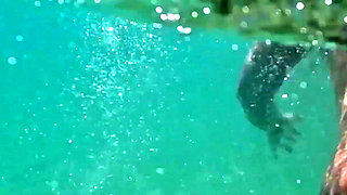 Naked in Paradise - Underwater Ocean Playtime