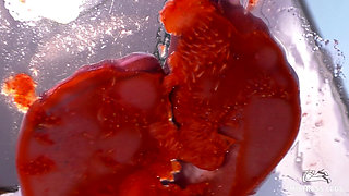 My Nylon Feet Squeezing Strawberry Juice on a Glass Table