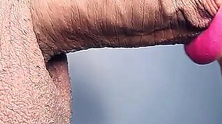 Swallowed Whole: up-close & Overflowing
