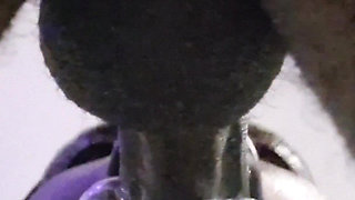 Perfect Blowjob