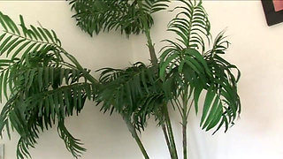 Big ass big nipples black woman pussy fucking