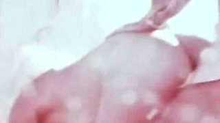 Vintage porn retro erotic theatre - dessert fruit