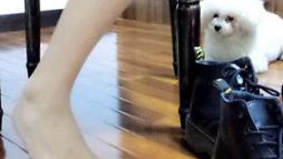 Chinese Femdom 002: Asian, Pov  Fetish Porn