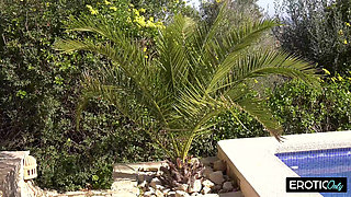 When Vacation Dreams Come True