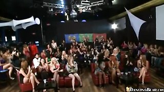 Cutie's dancingbear.com dirt