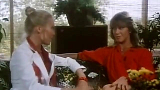 Classic Porn Dvds Marilyn Chambers Insatiable P