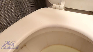 Drink My Piss From the Toilet Bowl