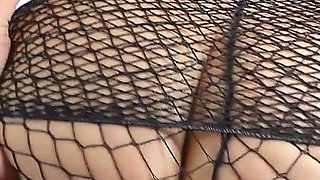 Head to Toe Fishnets N Butt Plug