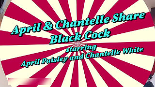 Dynomite British Black Cock Suckers
