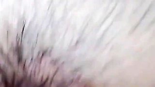Pussy Good 2