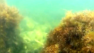 I Was Fishing Underwater but Instead of Fish Met Sexy Girl Who Flashed Me Her Hairy Pussy