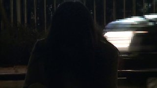 Hardcore Asian blowjob masturbation