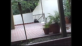 A Young Brunette Fucked Well in the Ass