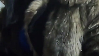 Milfycalla Blowjob in Fur Coats Cum All Over My Expensive Furs