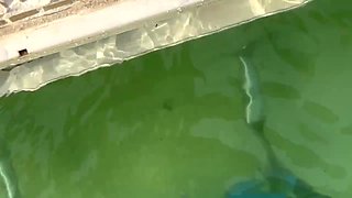 Picked up by the pool hot skinny Latina and fucked her in my room