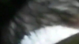 Sucking Licking Big Black Cock Outdoors Moaning Groaning