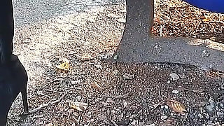 Pee Compilation 2024