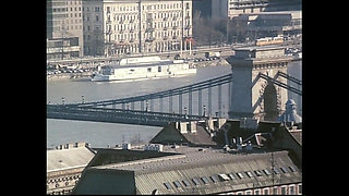 The Pig Sucks Cock(movie)