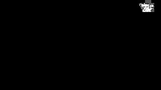 TEF334-ZZUILMYLVN130102109