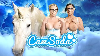 Big Tits Housewife Gets Dicked By Her Plumber