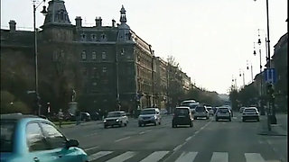 The Neighbor's Pussy