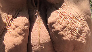 Cougar Drop Her Clothes and Yellow Piss Blows