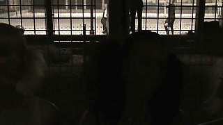 Amateur's fishnet smut by LESBIAN GIRLFRIENDS