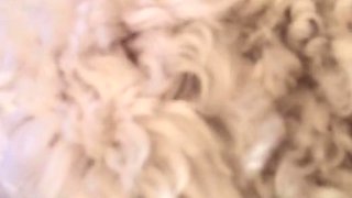 Small titted brunette Sharron with glasses masturbates