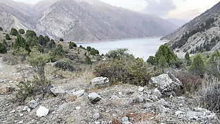 Pissing Compilation in Nature! a Road Trip! POV!