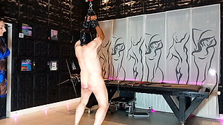 Mistress Luciana Bondage, Whips & Screams
