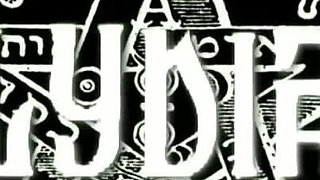 Trailer511