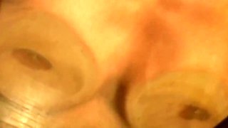 Perfect Pairs Fake Twin Temptation