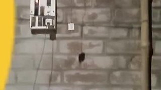 Romantic Sex Video.