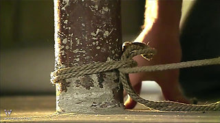 Daisy Duxe between the poles