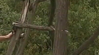 Hot Sluts Fucked in the Country Side (full Vintage Porn Movie)